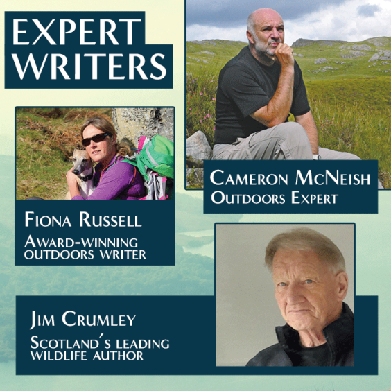 Hear from a team of expert writers