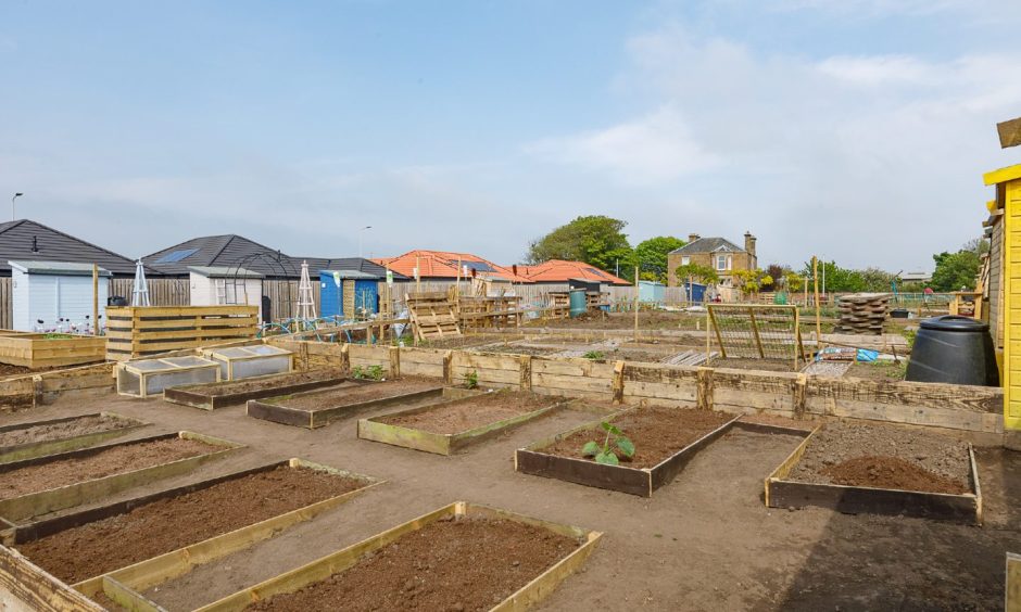 The St Monans allotments