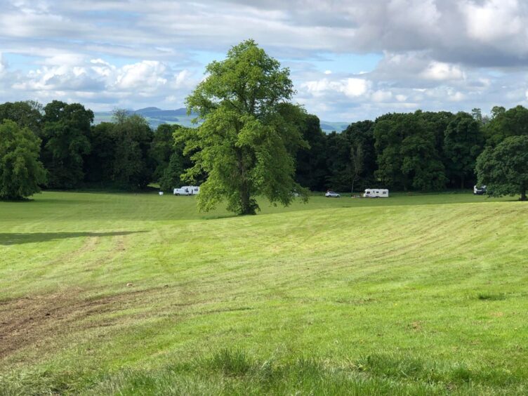 At least 7 caravans are on the grass in the park.