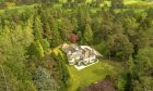 Darquhillan is surrounded by mature Scots pine. Image: Savills.