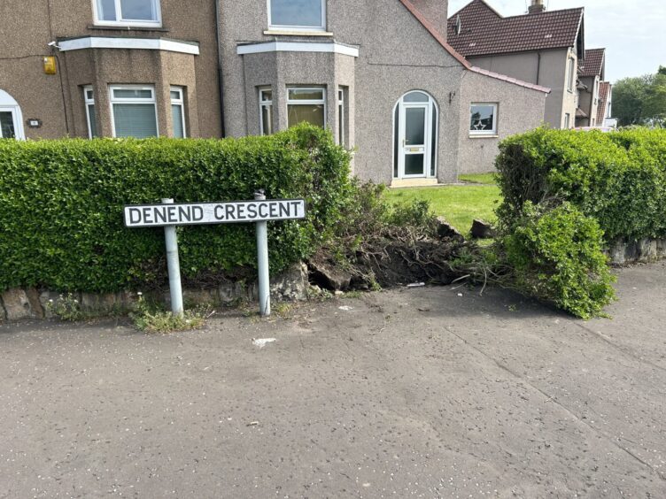 The garden hedge on Denend Crescent after Kirkcaldy police chase