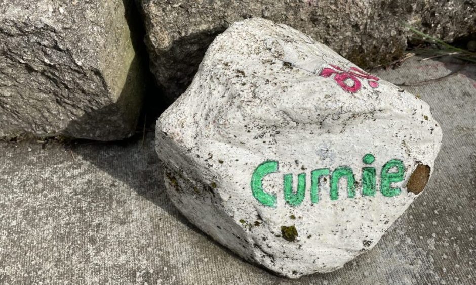 A painted stone in the Curnie Club garden in Kirkcaldy.