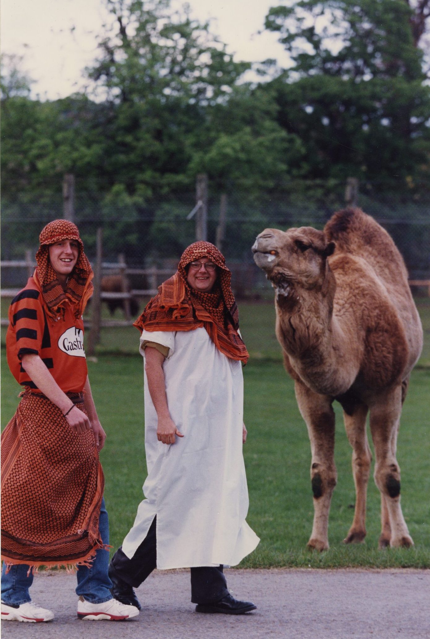 Dundee United fans dressed up and standing next to a camel. 