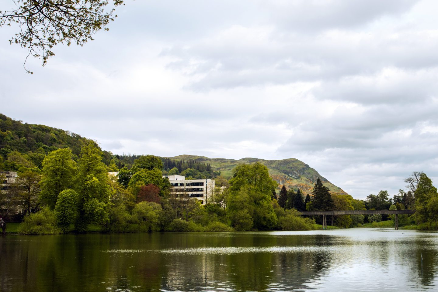 The view of Dumyat from the Stirling University grounds.