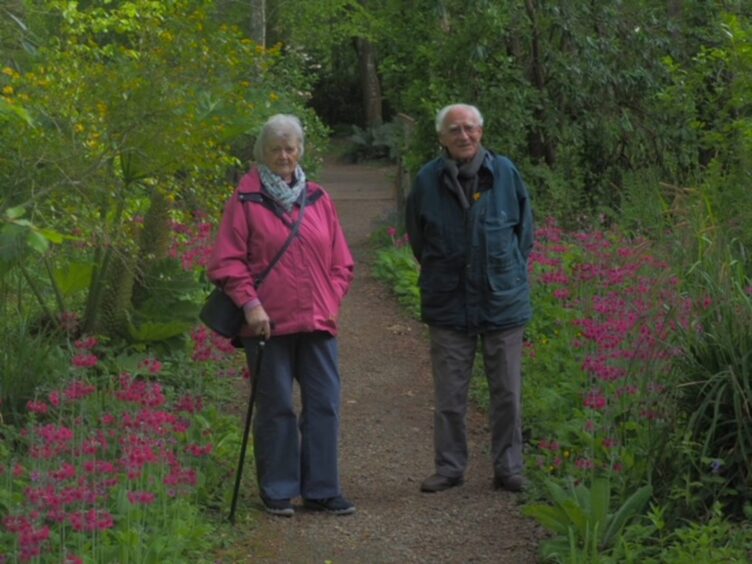 Shirley and John Walker standing beside borders with tall pink plants