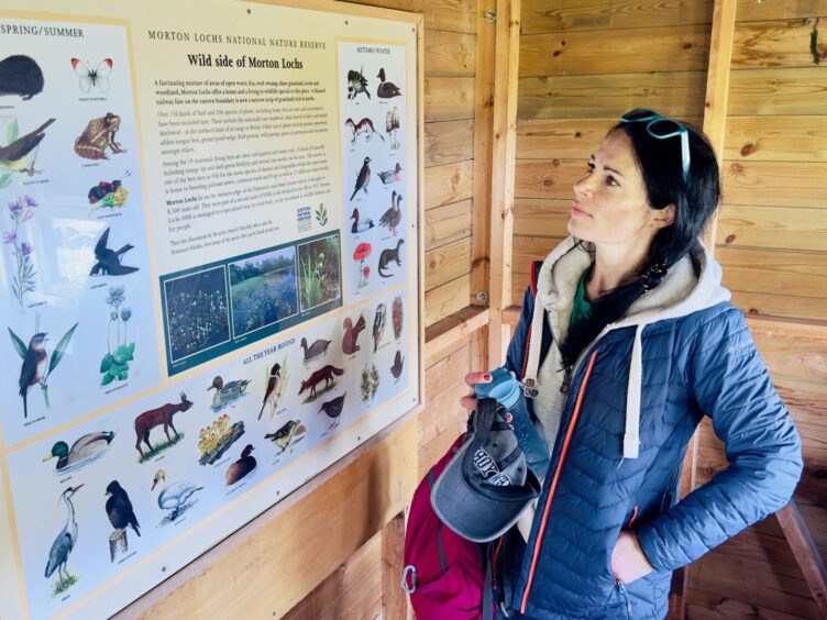 Gayle checks out an interpretation board inside one of the wildlife hides on the Morton Lochs. 