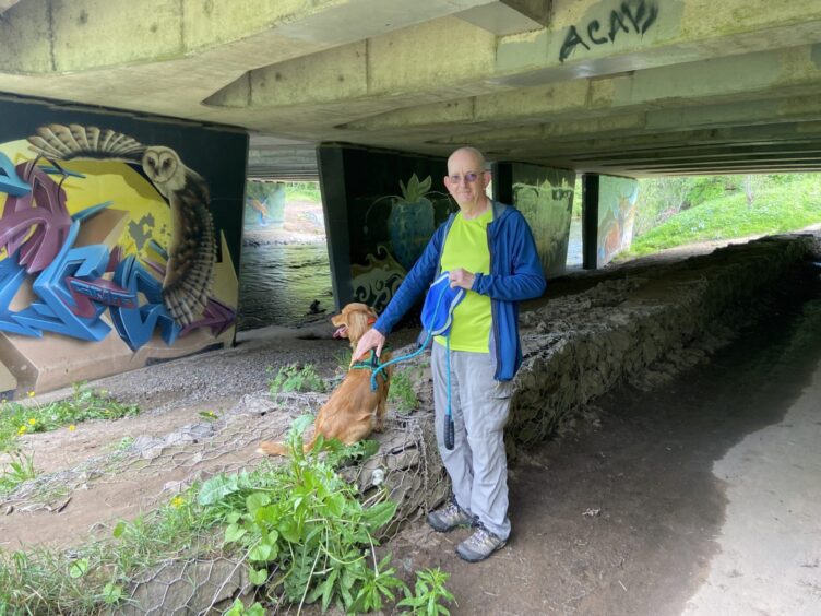 Dough, 63, walking his dog Chewie, 18 month on the path by some of the murals. 