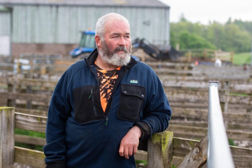 Douglas McCartney in boiler suit nest to sheep pens on his farm on the Glenturret estate