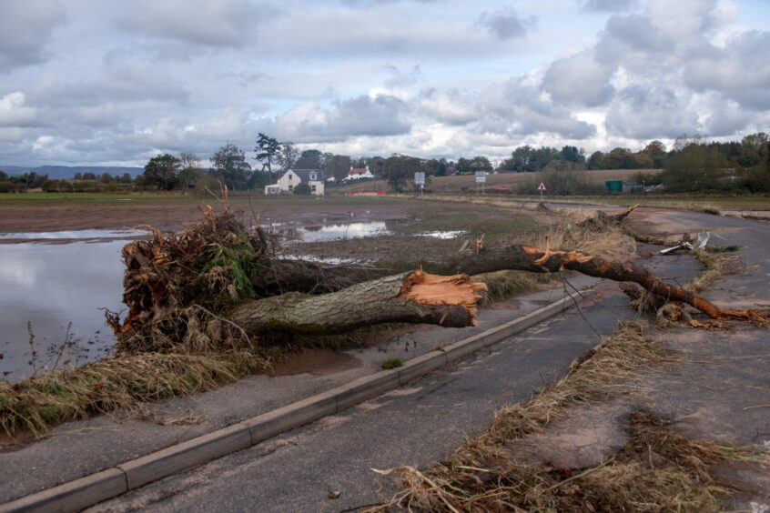 Marykirk A937 devastation during Storm Babet.