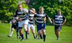 Perthshire rugby club players chasing rugby ball on North Inch, Perth