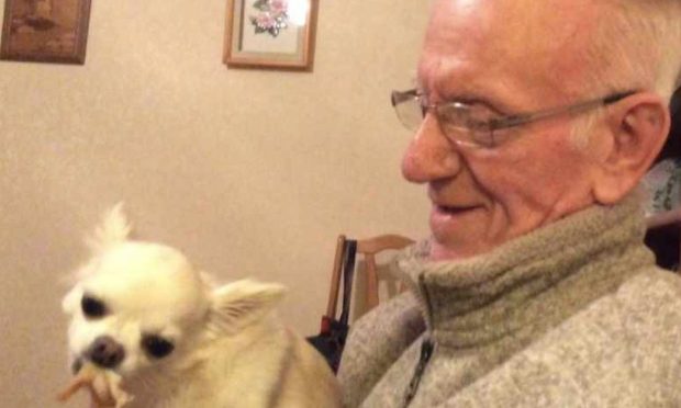 Dundee pensioner, 90, left ‘heartbroken’ after pet dog goes missing