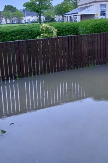 Annette's flooded garden.