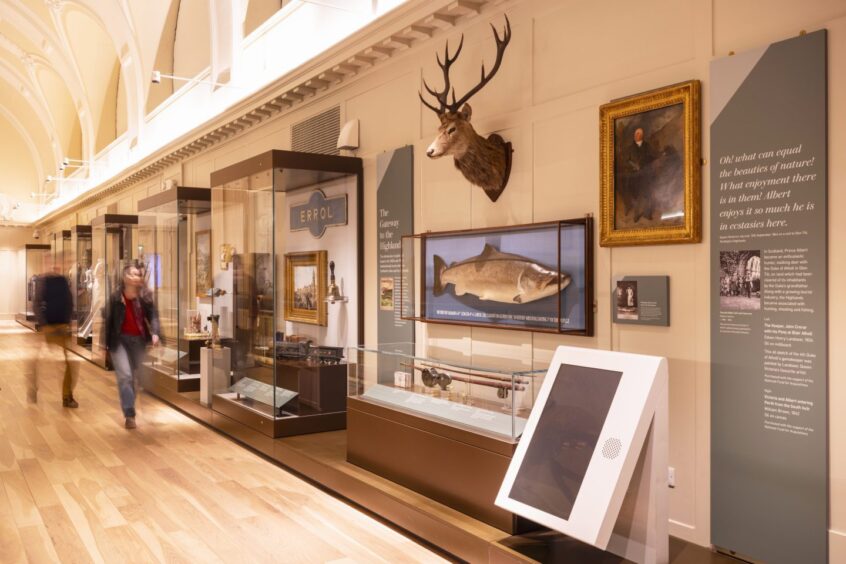 People walking past display cases in Perth Museum, with stag's head on wall