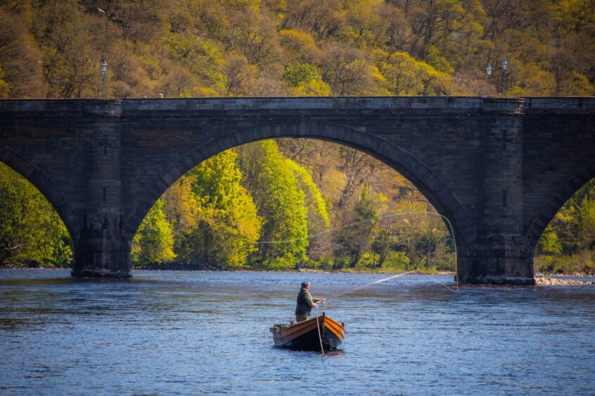 Angler casting line on River Yay in front of Dunkeld brudge