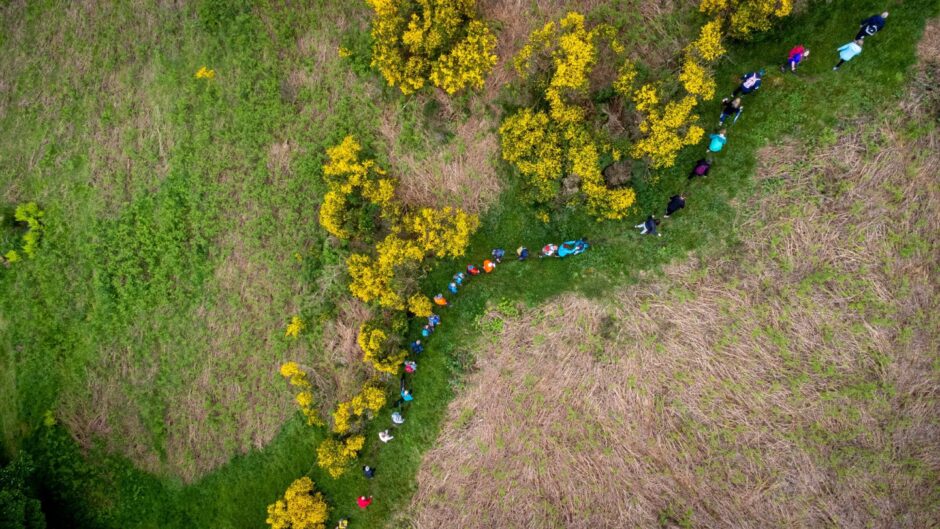 Drone shot of line of people following path to top of Comrie hillside through grass and gorse bushes