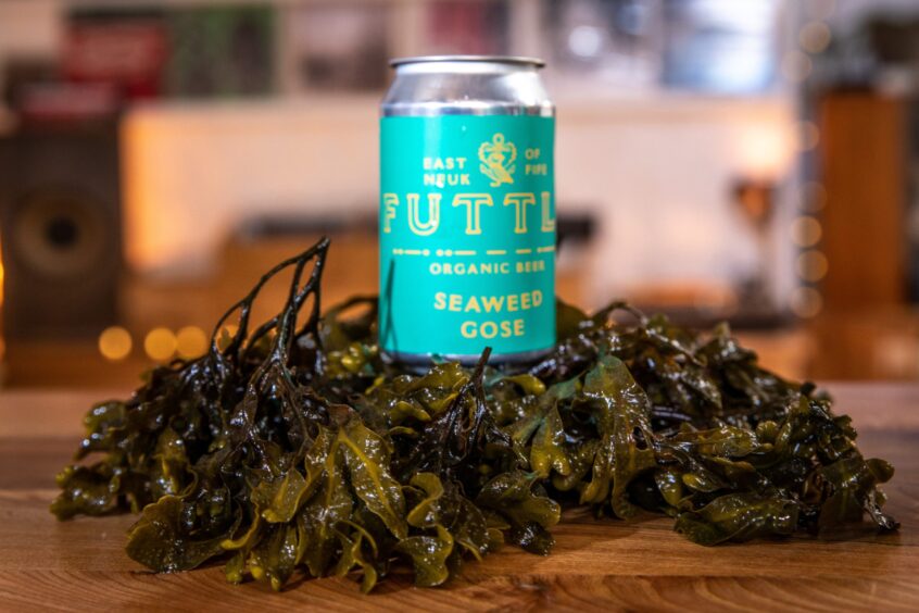 Futtle's seaweed gose beer is organic, and includes seaweed foraged right from a Fife beach.
