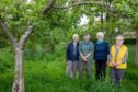 Sustainable Cupar chair and trustees, Sarah Davidson, Norma Alari, Mary Ellen Robertson and Margaret-Anne Hutton. Image: Steve Brown/DC Thomson.