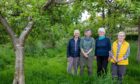 Sustainable Cupar chair and trustees, Sarah Davidson, Norma Alari, Mary Ellen Robertson and Margaret-Anne Hutton. Image: Steve Brown/DC Thomson.