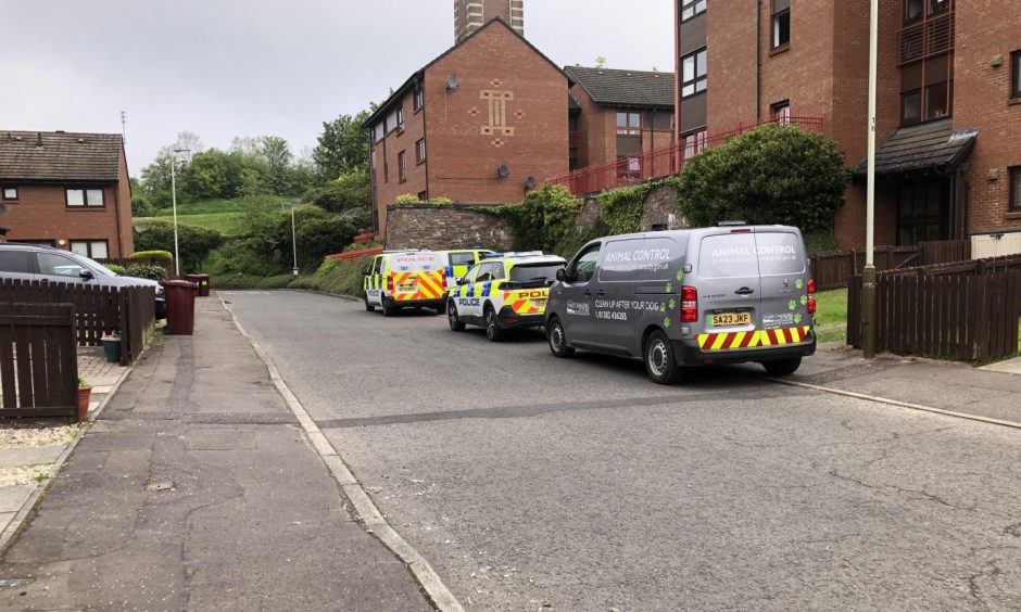 Riot police and animal control van called to Dundee incident