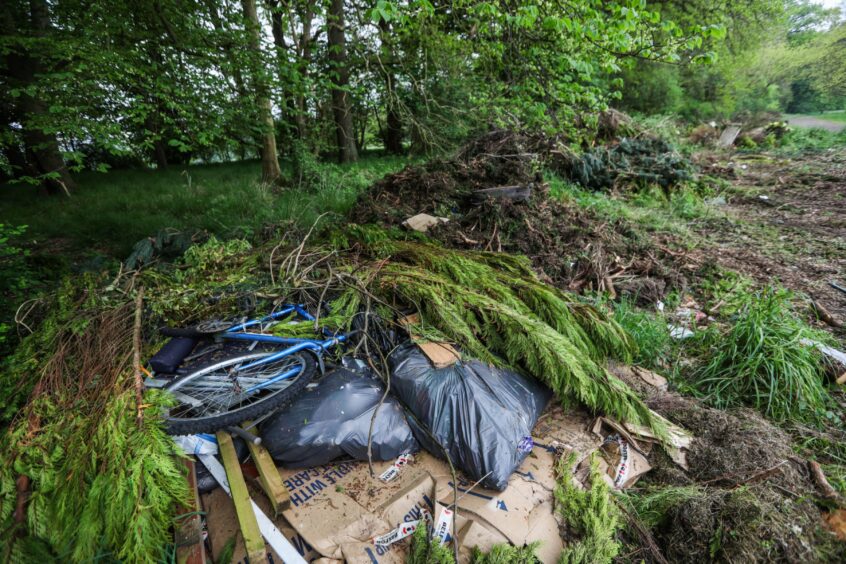 Garden waste and rubbish dumped at Camperdown Park this week.