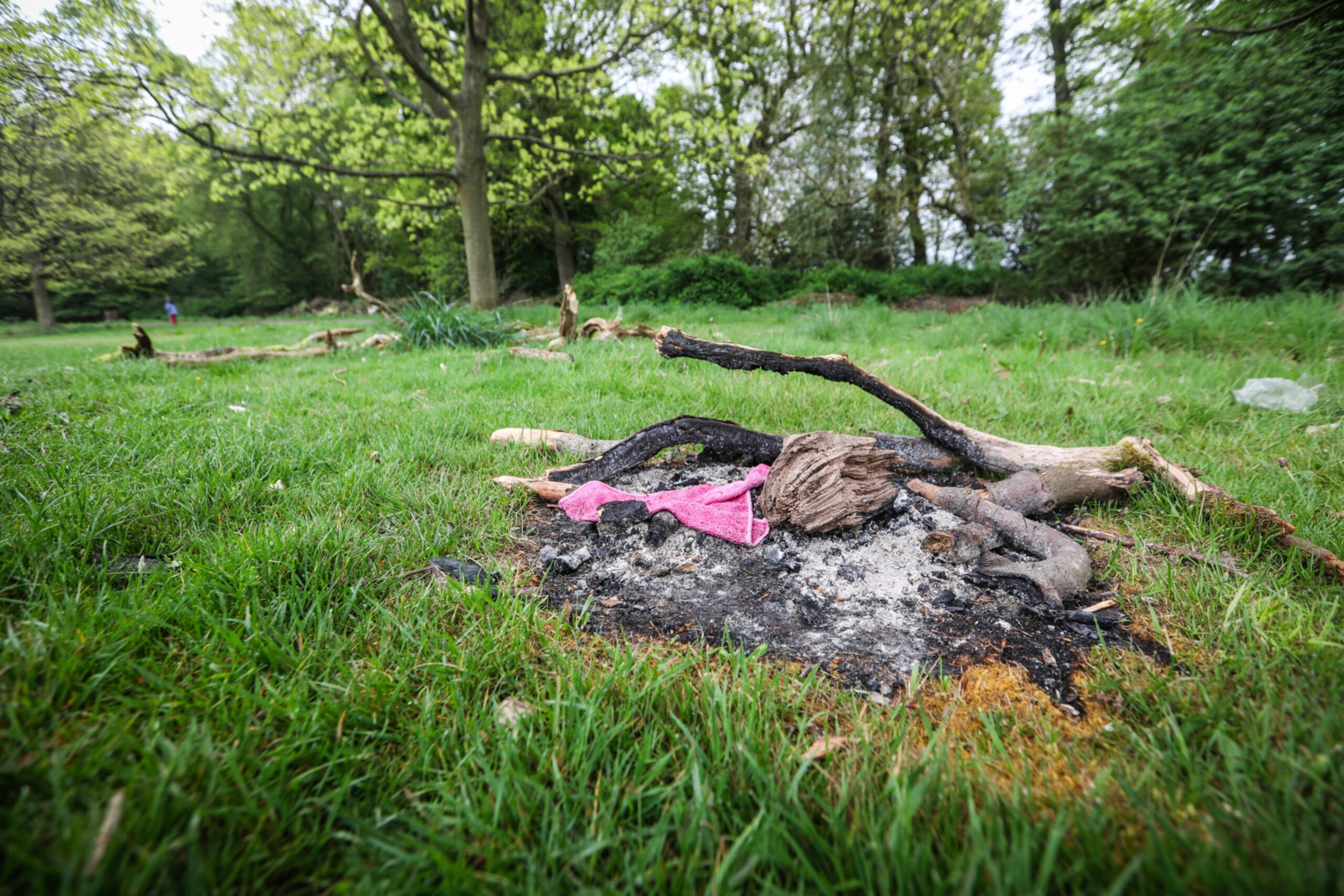 A damaged patch of land at Camperdown Park after fly-tipping was set on fire.