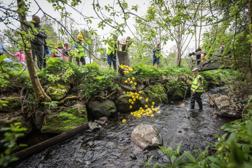 Barry Mill NTS family duck race day.