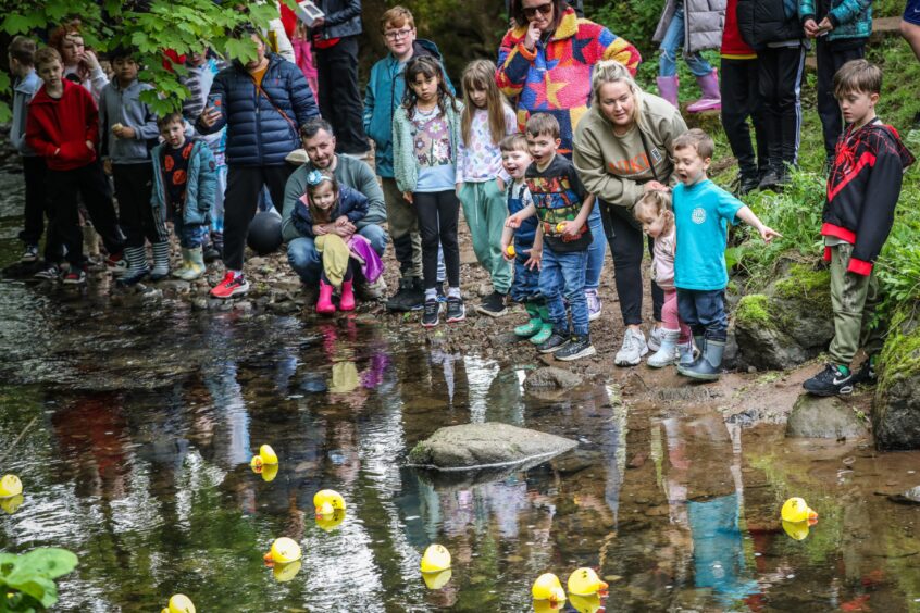 Children at Barry Mill duck races near Carnoustie.