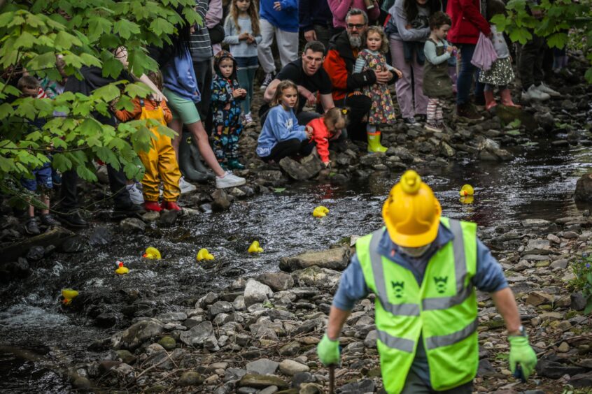 Duck racing at NTS Barry Mill in Angus.