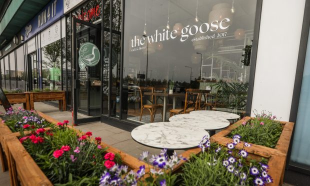 White Goose, Dundee