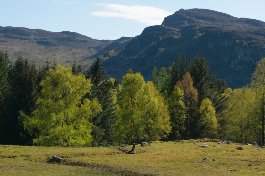 Ben Chonzie, with trees and fields in foreground