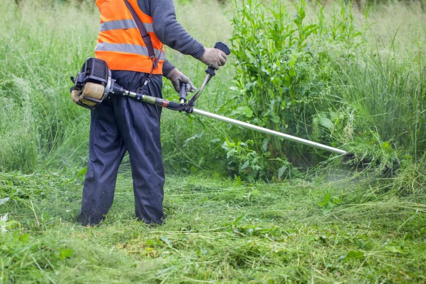 Person in high vis vest strimming very long grass with power strimmer