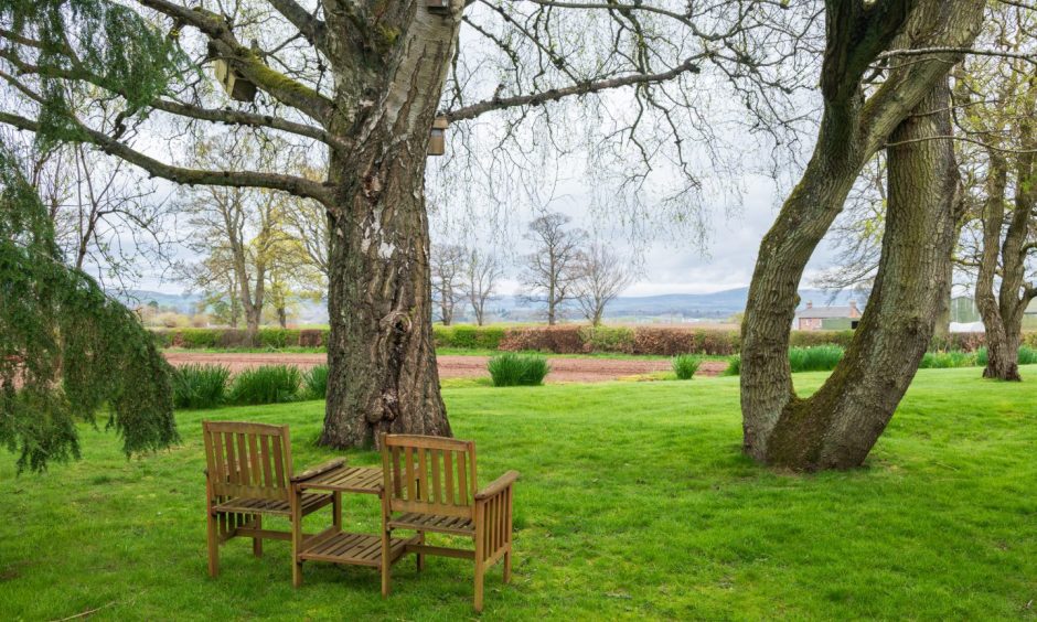 the view of the Perthshire countryside available at 1 Arthurstone Gardens