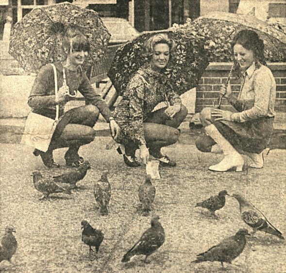 Irene, Linda and Carol feeding the pigeons in 1971. 