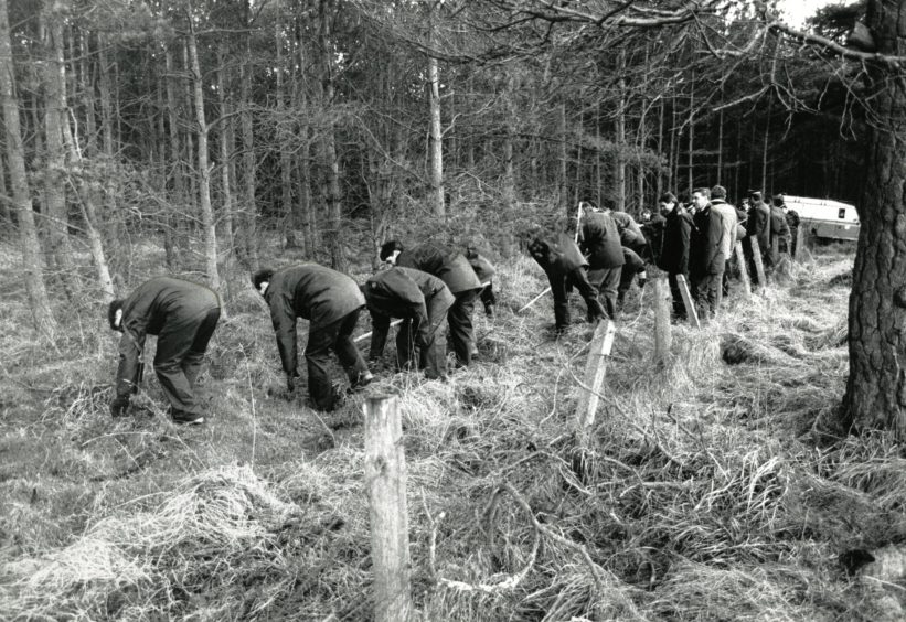 Police searching Melville Woods after discovering the body of Lynda Hunter. 