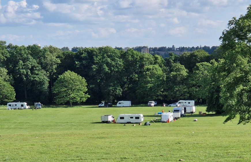 The latest Traveller group at Camperdown Park