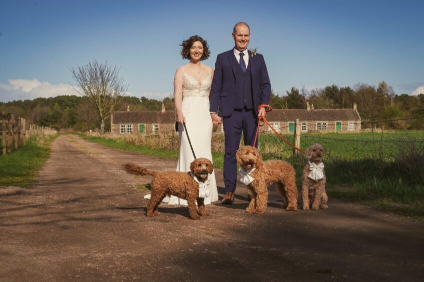 David and Carolanne Heighton with their three labradoodles Wilf, Louis and Honey at their wedding at The Rhynd. Image: Robyn's Boudoir Photography.