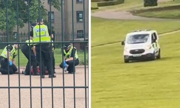 A police van was spotted racing across the grass at Baxter Park before the youths were arrested. Image: Supplied