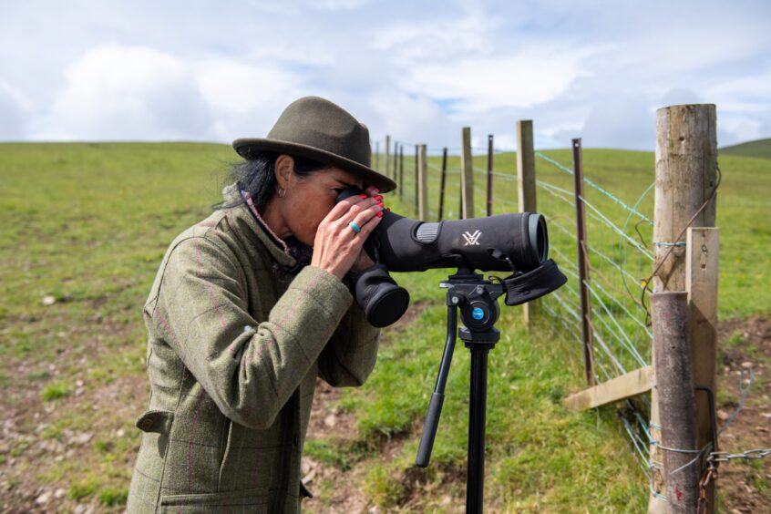 Gayle checks out the osprey nest on Kinclune Estate. Image: Kim Cessford.