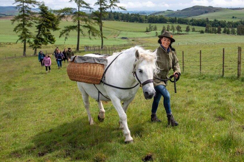 Gayle leads Highland pony Phosa up the hill. Image: Kim Cessford.