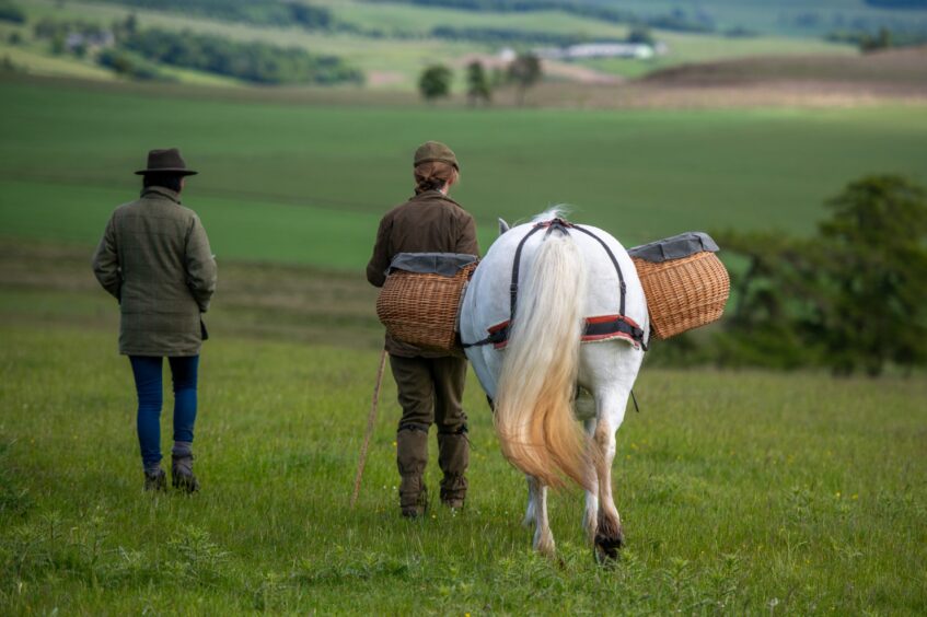 Gayle, Virginia and Phosa lead the way. Image: Kim Cessford.