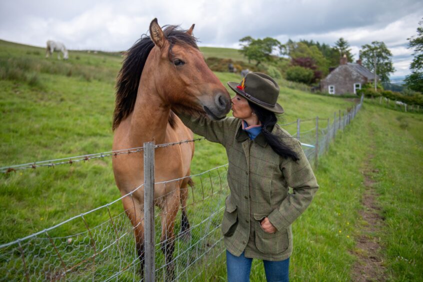 Gayle bonds with one of the young Highland ponies at Kinclune. Image: Kim Cessford.