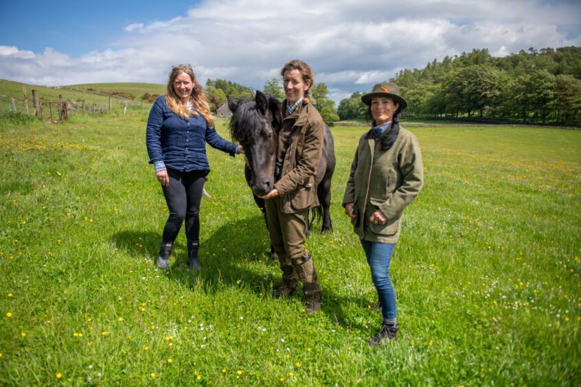 Aylwin Pillai, Virginia Osborne-Antolovi and Gayle with one of the Highland pony breeding mares, Rosebush. Image: Kim Cessford.