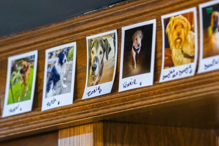 Row of polaroid photos pinned to bar at Smiddy Haugh hotel