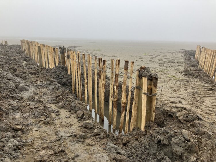 Storm fencing has been placed in front of the cobble embankment that runs along the south shore of the Eden estuary. 