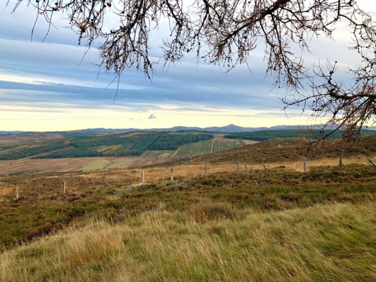 Struan Point, where it is believed the UFO picture was taken.