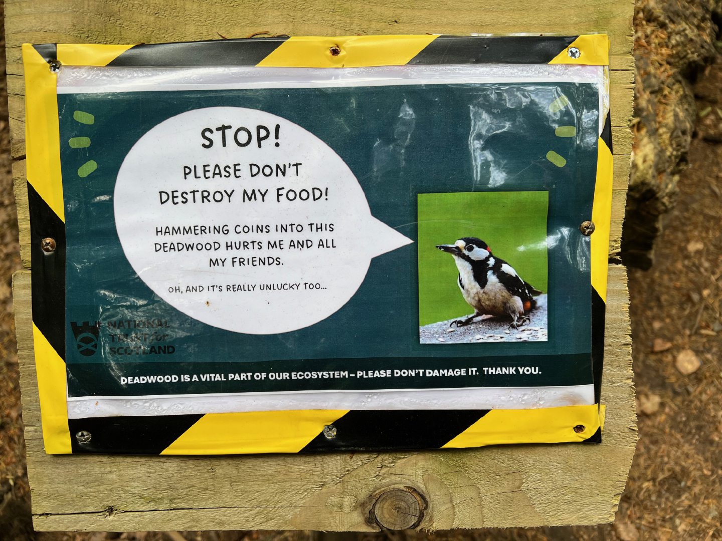 A sign featuring a woodpecker urging people not to hammer coins into trees.