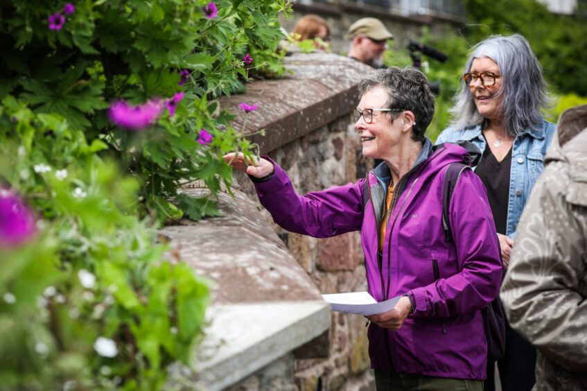 People looking at small sculptures through foliage on a wall in Blairgowrie