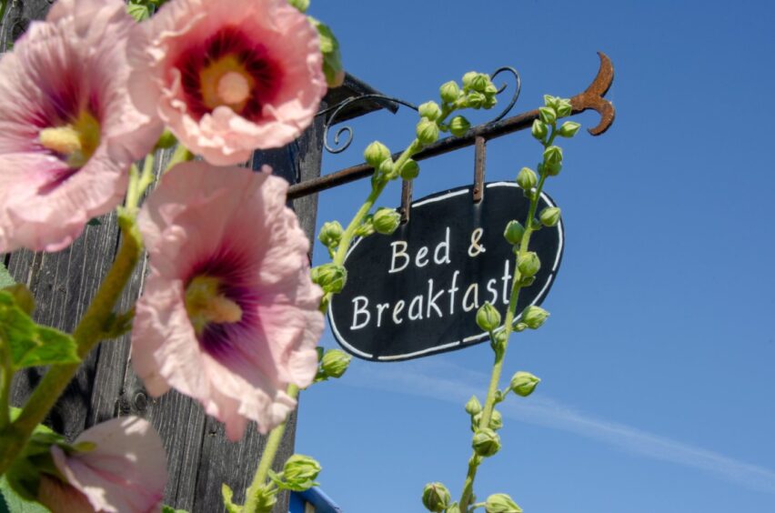 Bed and breakfast sign with flowers in foreground