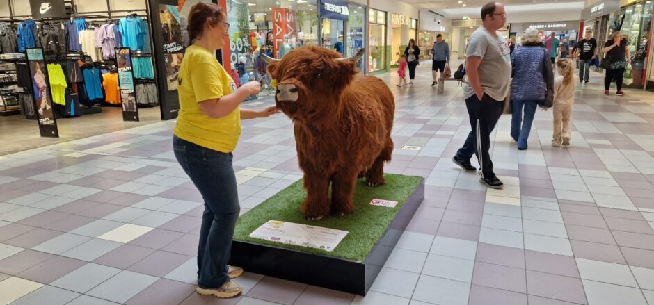 Women strokes hairy model of cow in Perth shopping centre