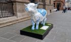 Blue and white Highland cow sculpture outside Perth Museum